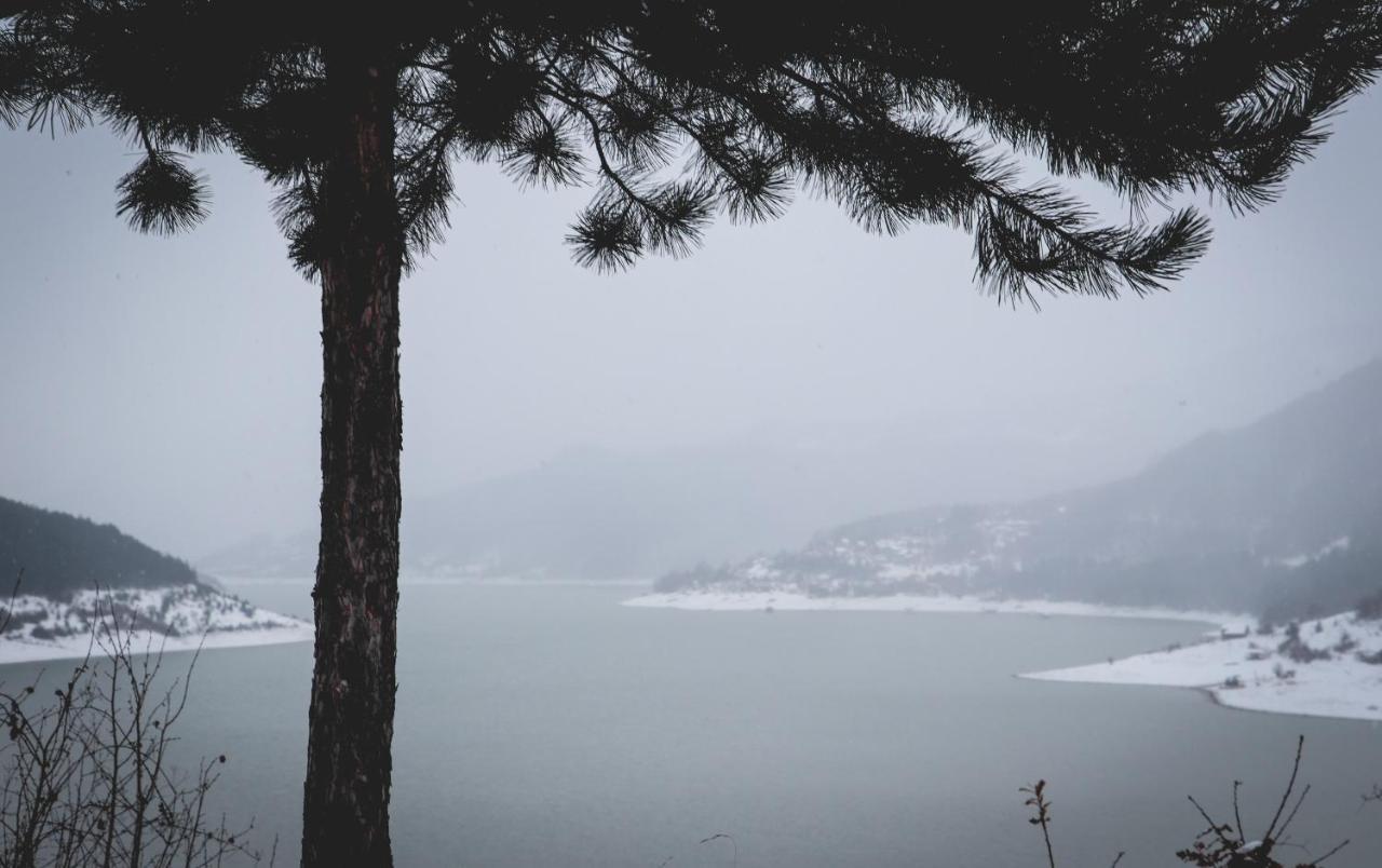 Vila Nemir Zavojsko Jezero Pirot Bagian luar foto
